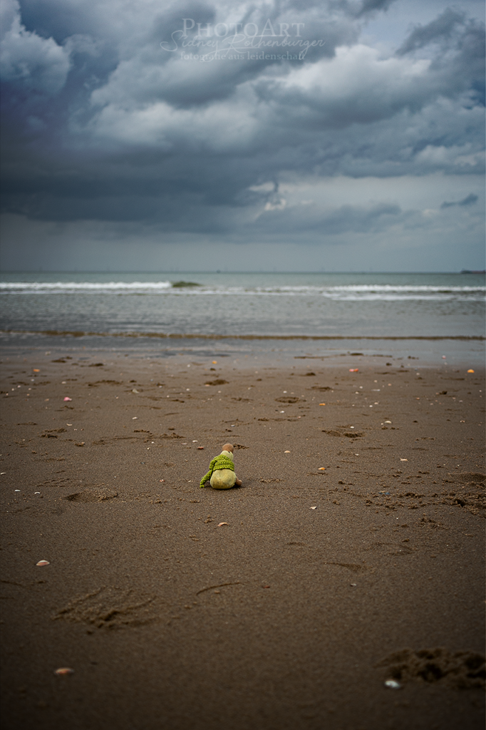 Kleine Kuschelente Emmy am Strand von Den Haag